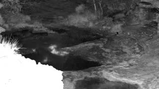 Still 1 from this detection