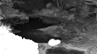 Still 1 from this detection