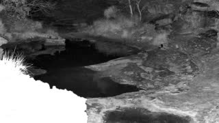 Still 1 from this detection