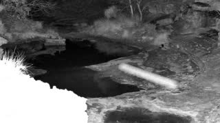 Still 1 from this detection