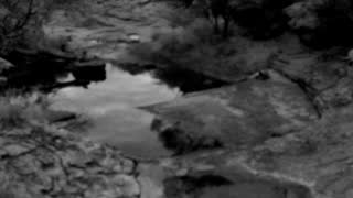 Still 1 from this detection