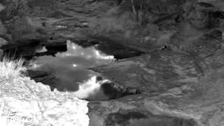 Still 1 from this detection