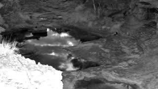 Still 1 from this detection