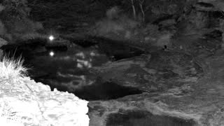 Still 1 from this detection