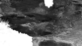 Still 1 from this detection