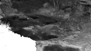 Still 1 from this detection