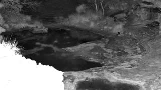Still 1 from this detection