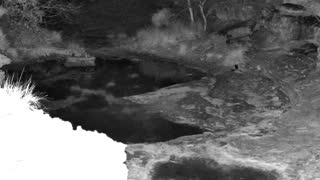 Still 1 from this detection
