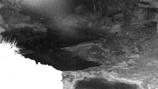 Still 1 from this detection