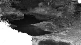Still 1 from this detection