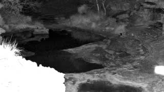 Still 1 from this detection