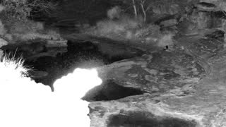 Still 1 from this detection
