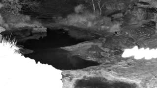 Still 1 from this detection
