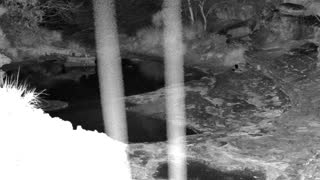 Still 1 from this detection