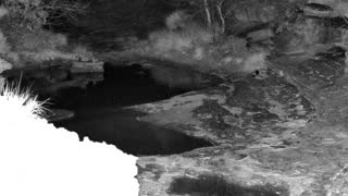 Still 1 from this detection