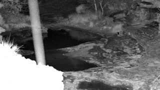 Still 1 from this detection