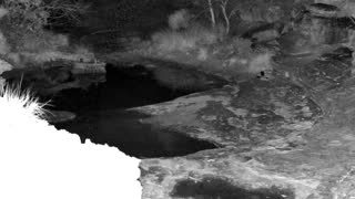 Still 1 from this detection
