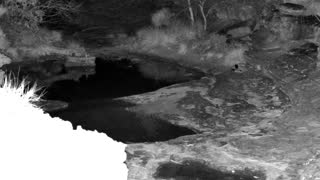 Still 1 from this detection