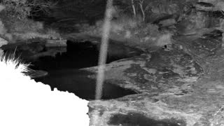 Still 1 from this detection