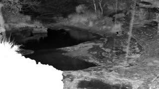 Still 1 from this detection