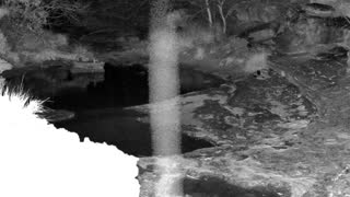 Still 1 from this detection