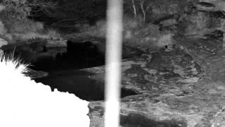 Still 1 from this detection