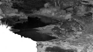 Still 1 from this detection
