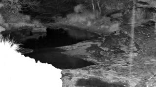 Still 1 from this detection