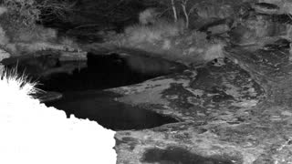 Still 1 from this detection