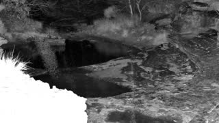 Still 1 from this detection