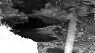 Still 1 from this detection