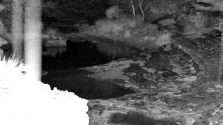 Still 1 from this detection