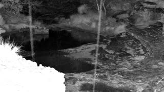 Still 1 from this detection