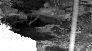 Still 1 from this detection