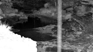Still 1 from this detection
