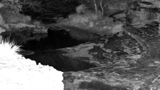 Still 1 from this detection