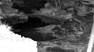 Still 1 from this detection