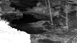 Still 1 from this detection