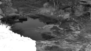 Still 1 from this detection