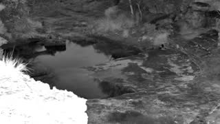 Still 1 from this detection