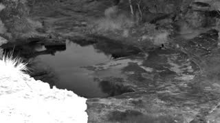 Still 1 from this detection