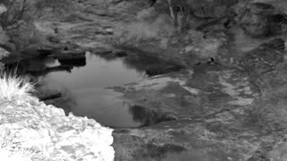 Still 1 from this detection