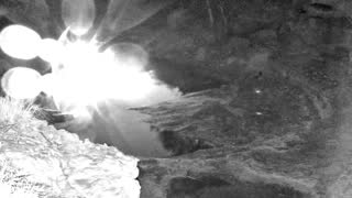 Still 1 from this detection