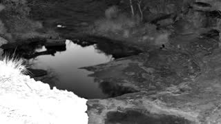 Still 1 from this detection