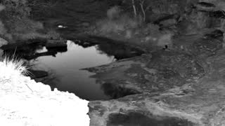Still 1 from this detection