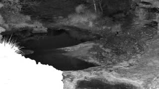 Still 1 from this detection