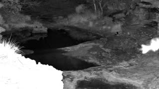 Still 1 from this detection