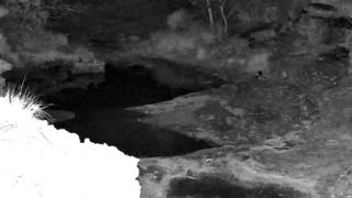 Still 1 from this detection