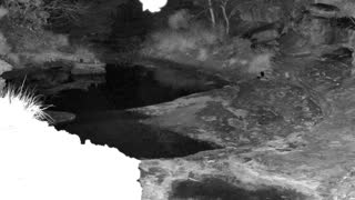 Still 1 from this detection