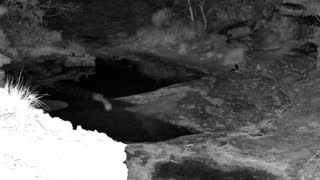Still 1 from this detection